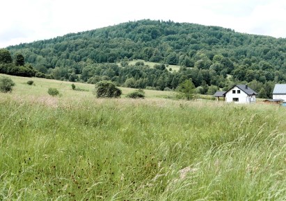 działka na sprzedaż - Jeleśnia, Krzyżowa