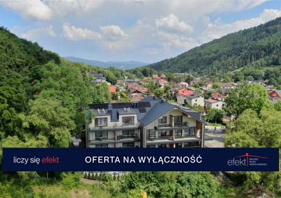 pensjonat_hotel na sprzedaż - Szczyrk