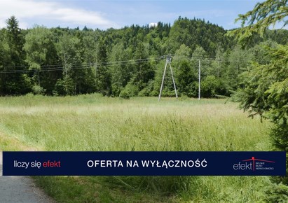 parcel for sale - Jeleśnia