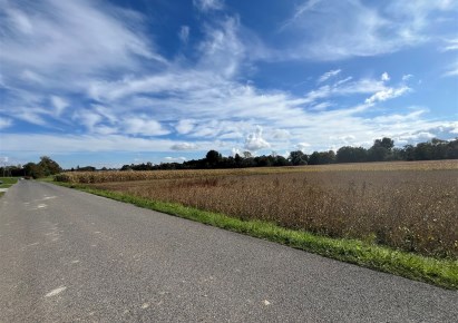 działka na sprzedaż - Hecznarowice