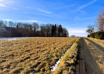 działka na sprzedaż - Wilamowice (gw), Pisarzowice